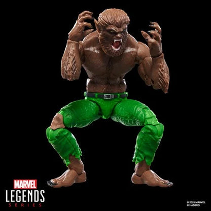 Marvel Legends Werewolf By Night 6-Inch Action Figure